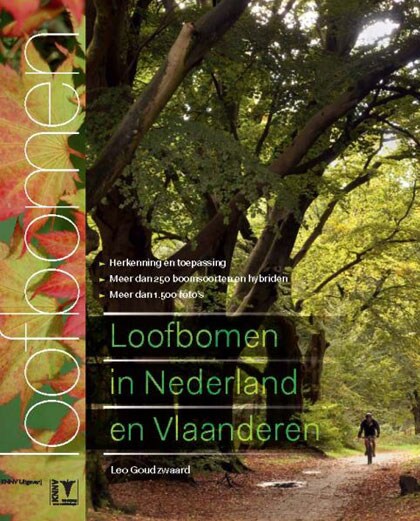 beeld vtwonen