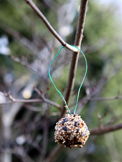 Dennenappel voor de vogels