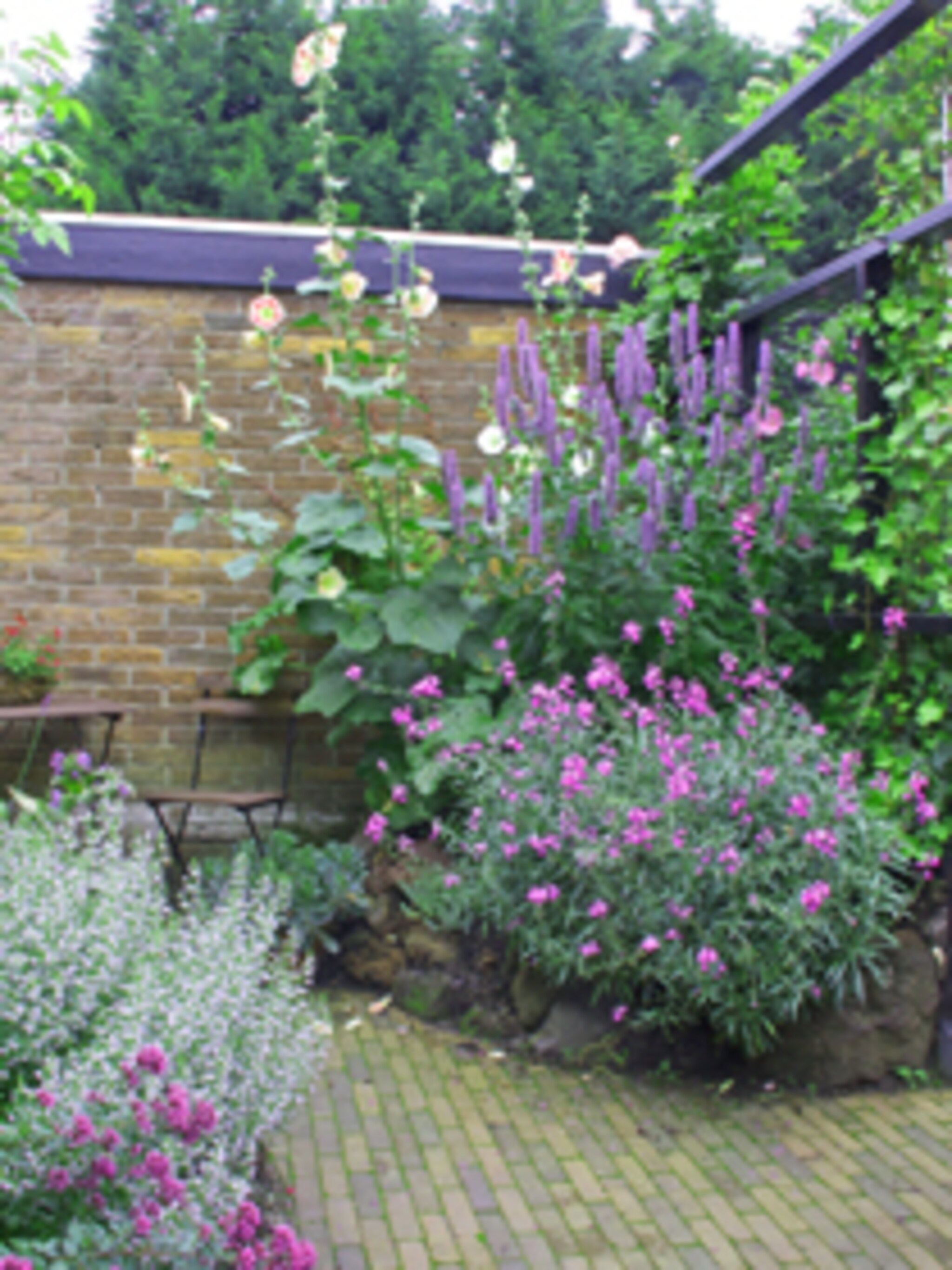 border renoveren