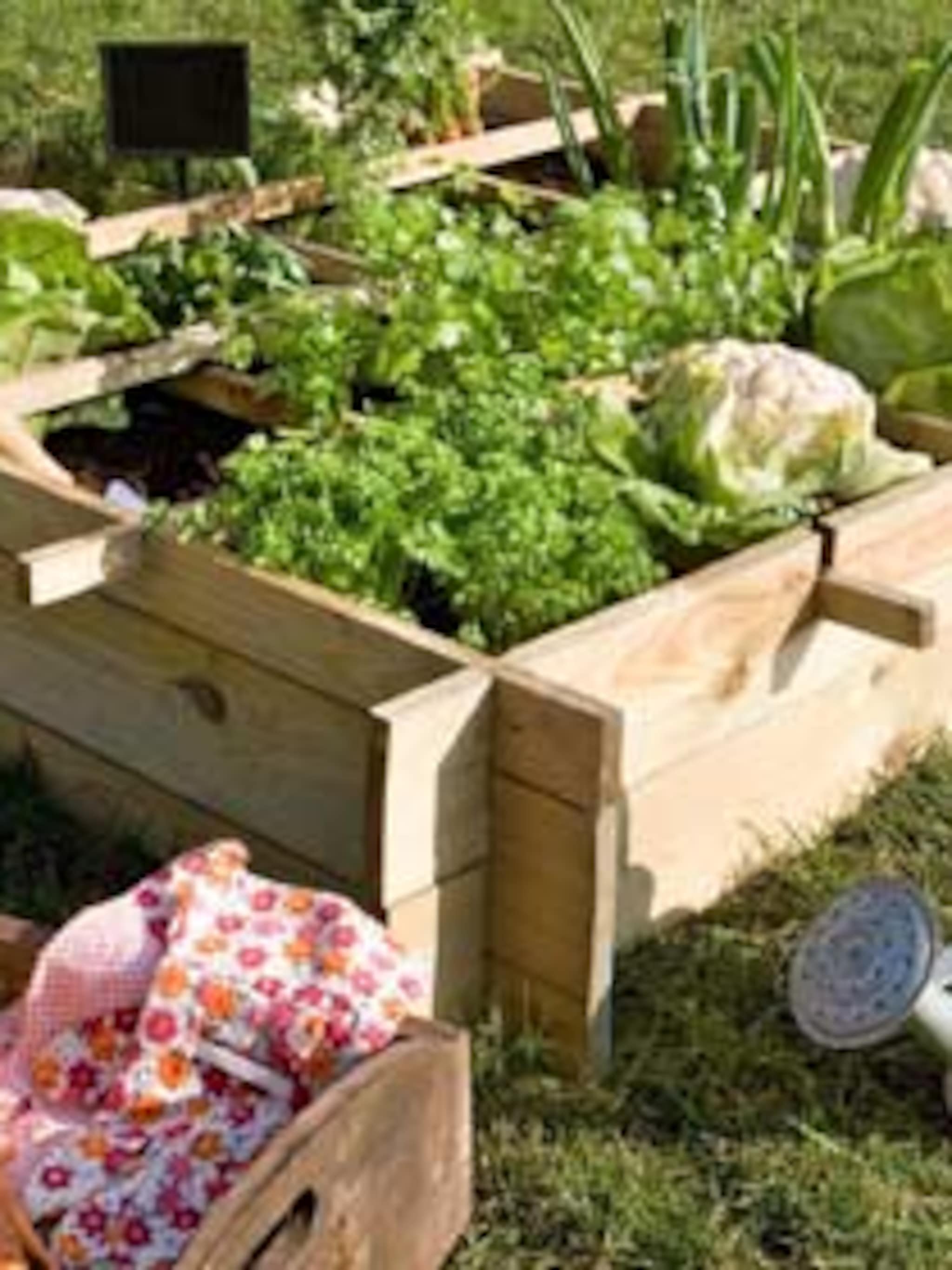 moestuin maken