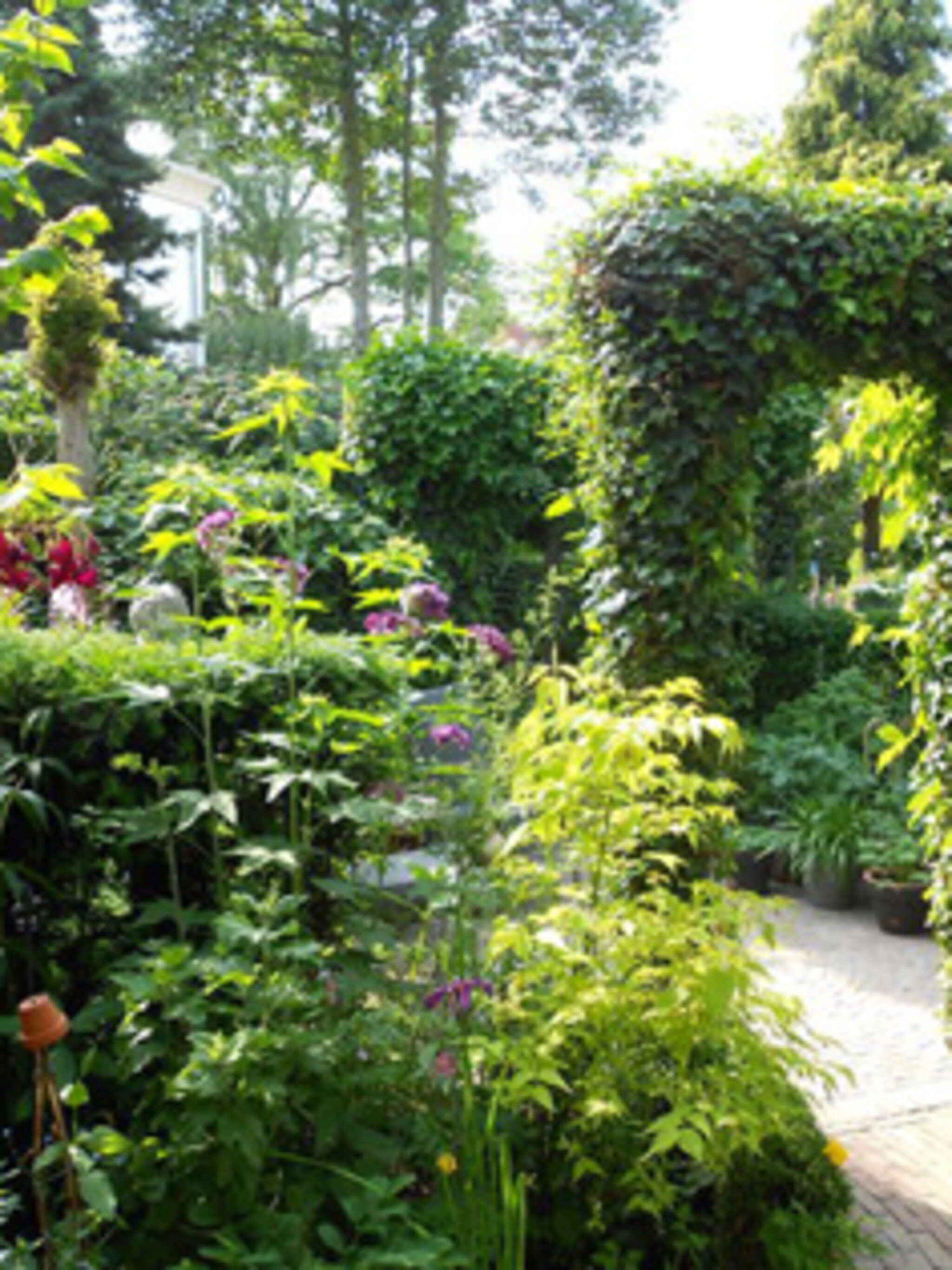 mijntuin in de spotlight romantiek