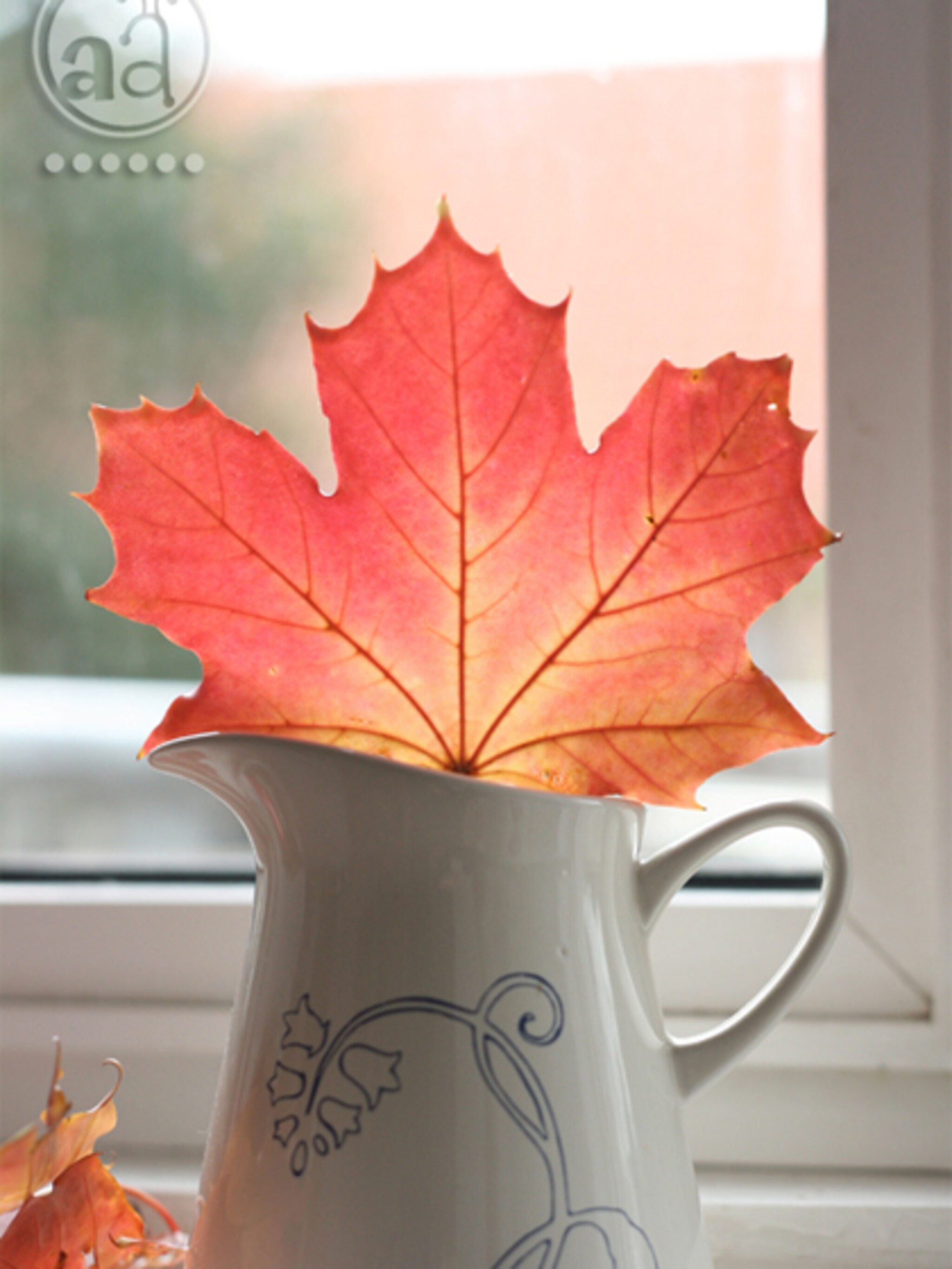 mooie herfstbladeren