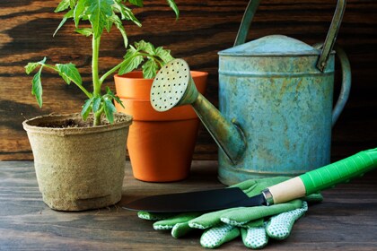 Tuinonderhoud in de zomer