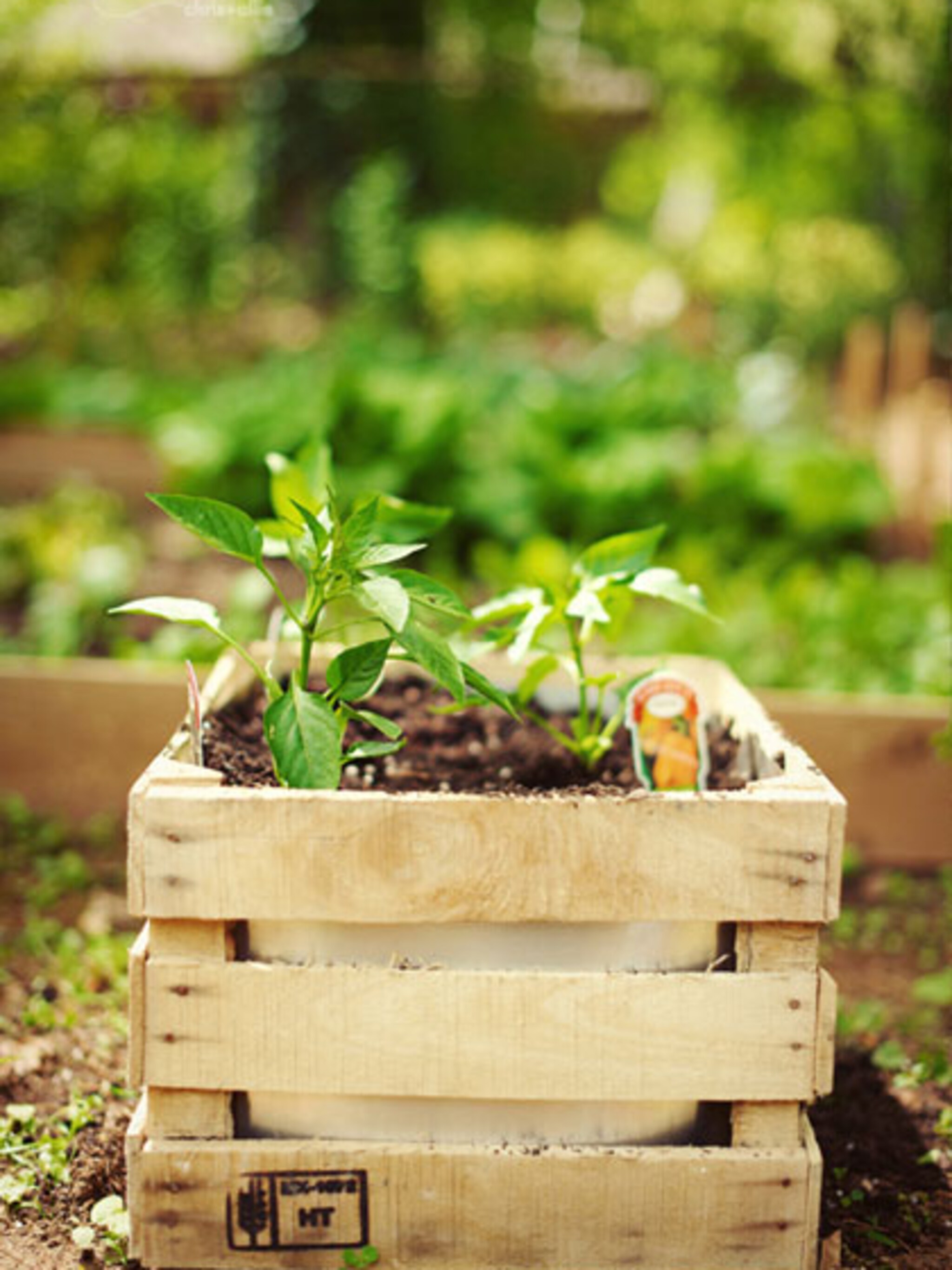 krat als plantenbak
