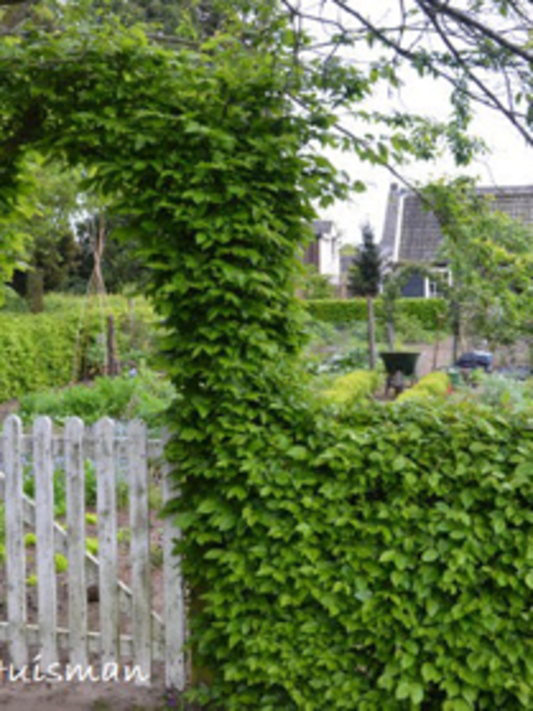 tuinblog tuindesign