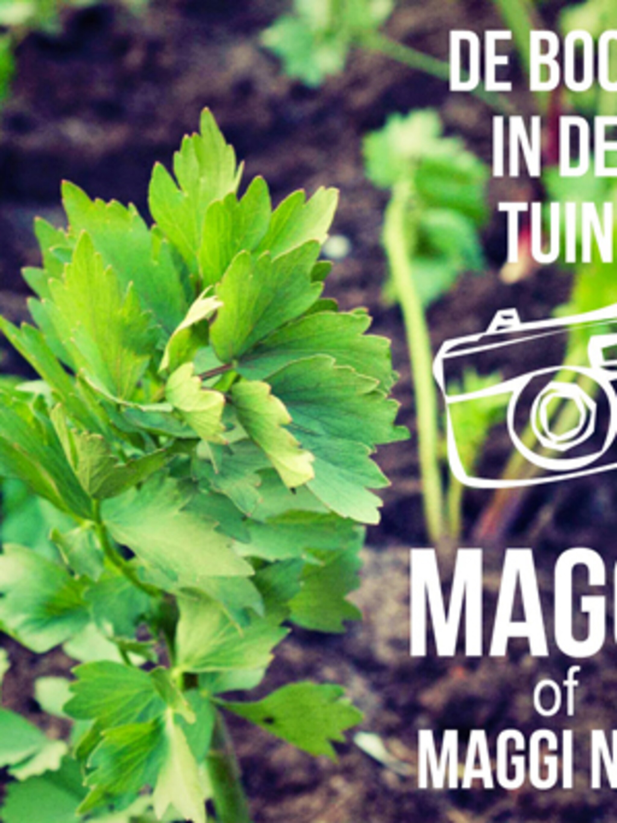 tuinblog de boon