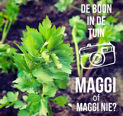 beeld vtwonen