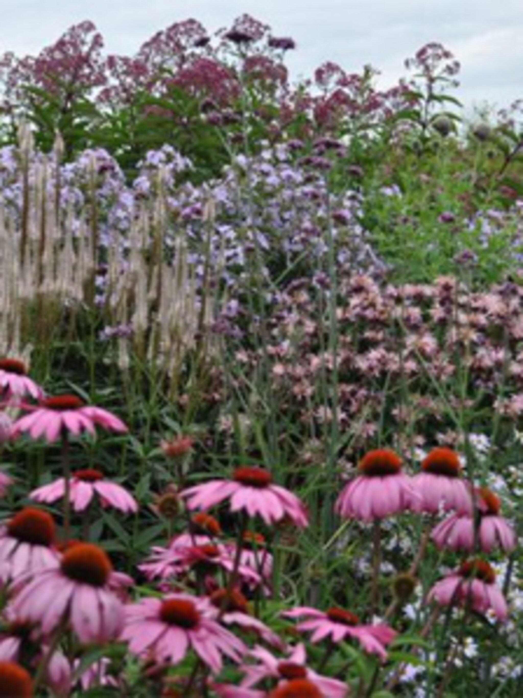 tuinblog landseinde