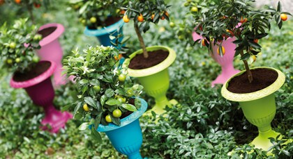 Bloempotwebshop Elho potten