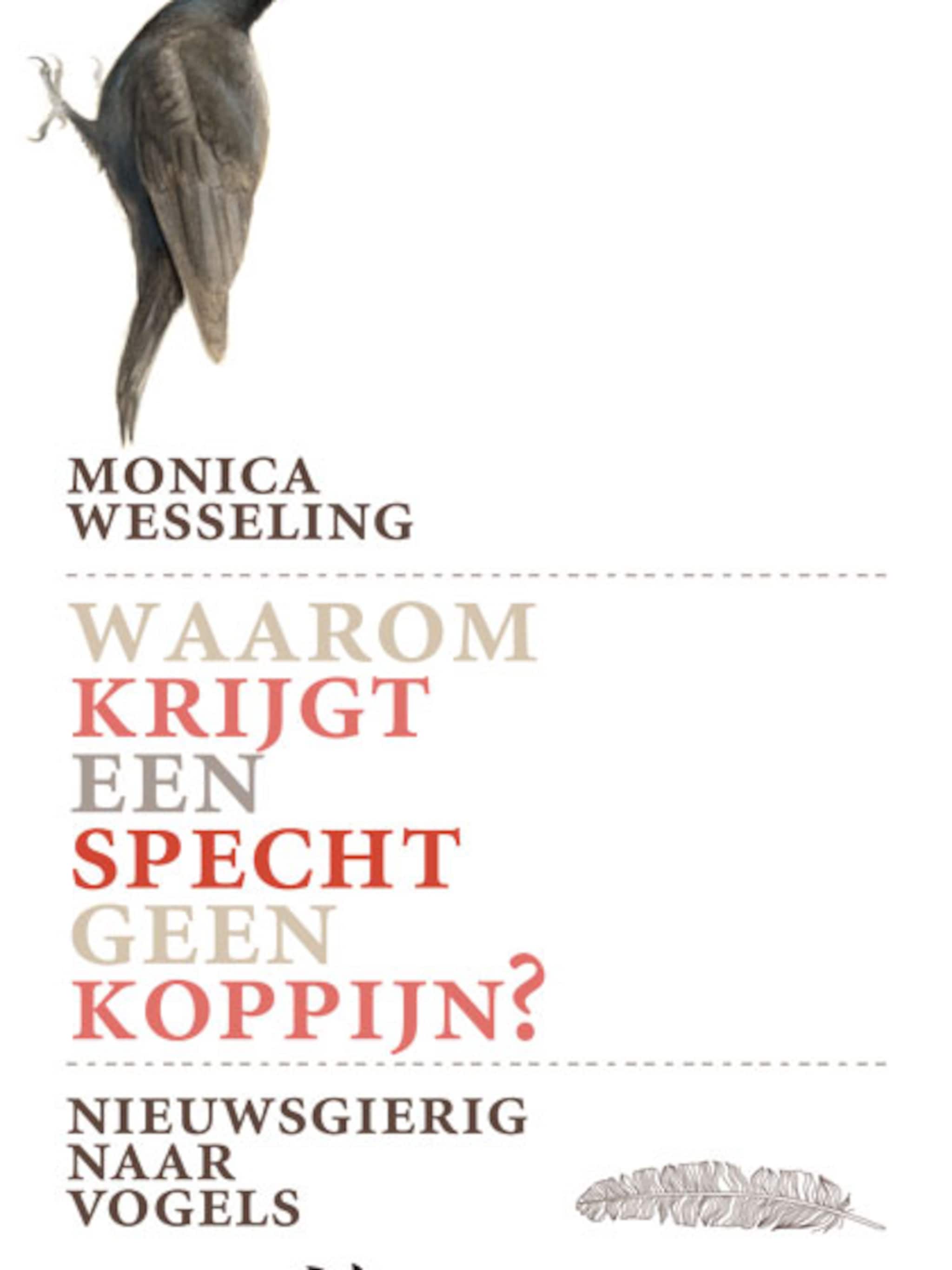 vogelvragen