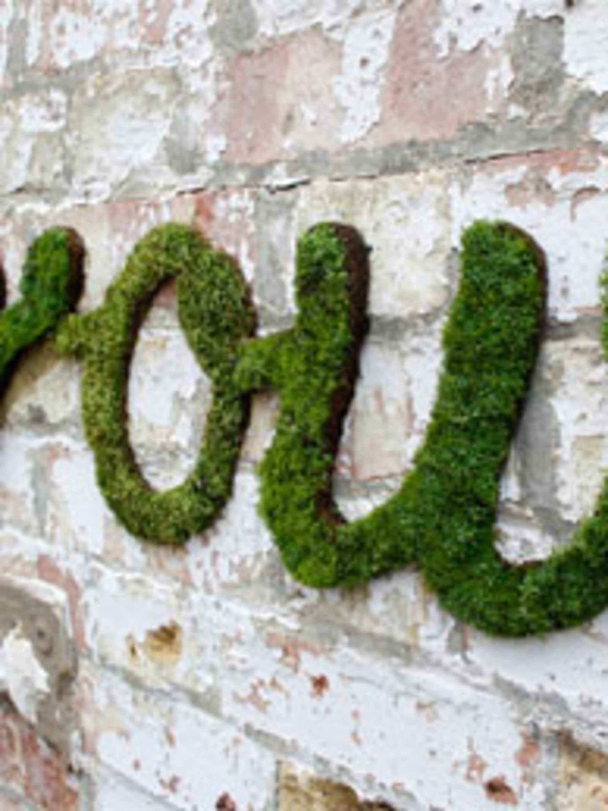 letters van mos