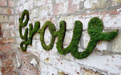 Letters van mos