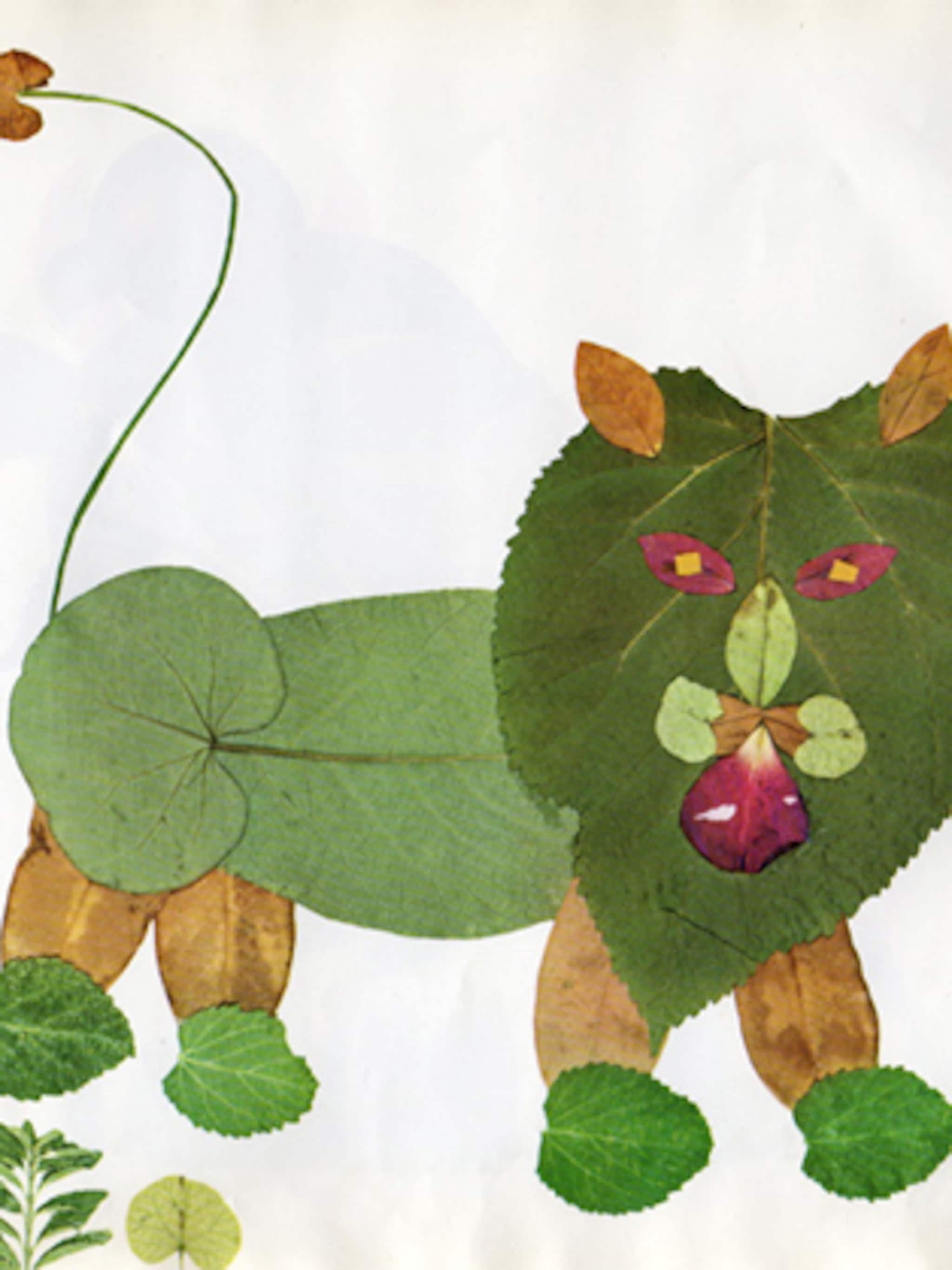 dieren van bladeren