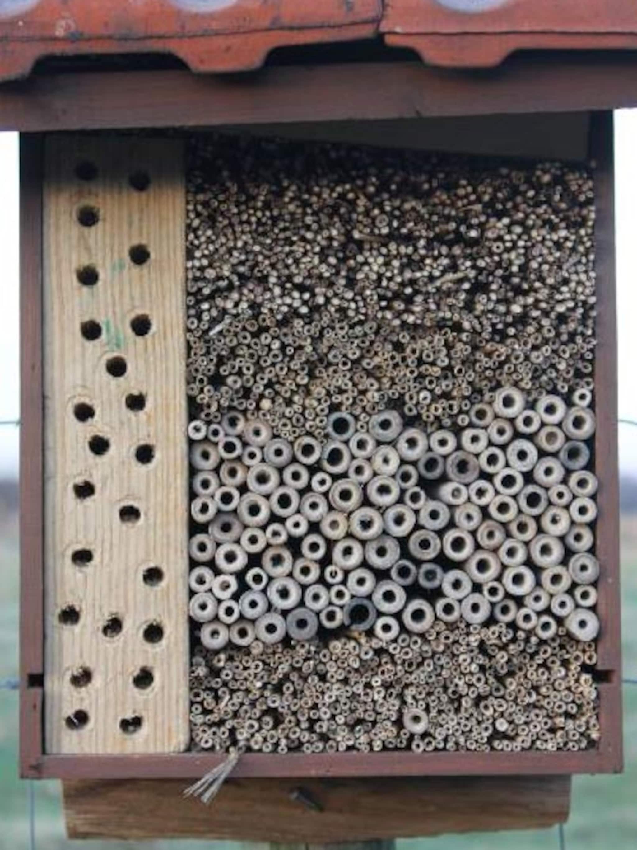 tuinblog natuurlijk rijk