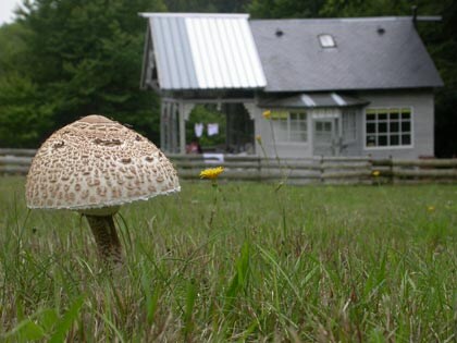 beeld vtwonen