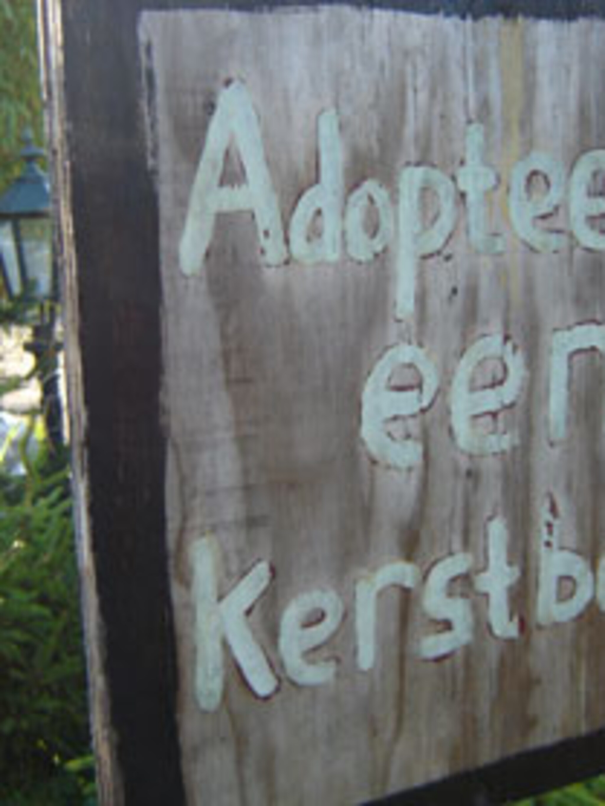 adopteer een kerstboom
