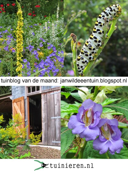 beeld vtwonen