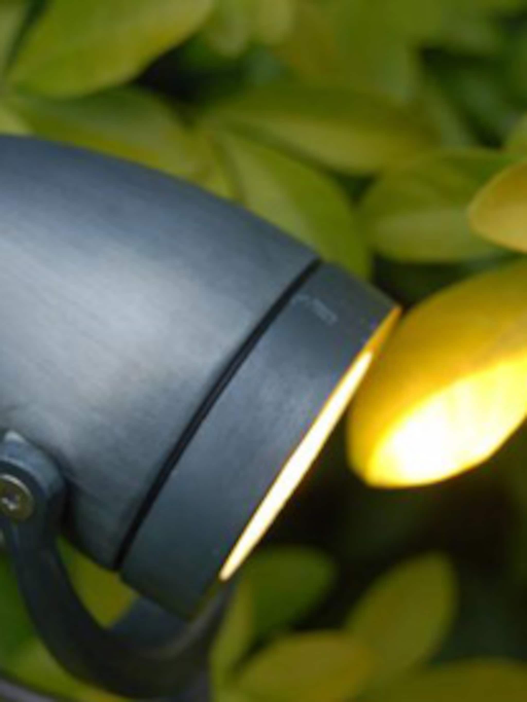 led tuinverlichting