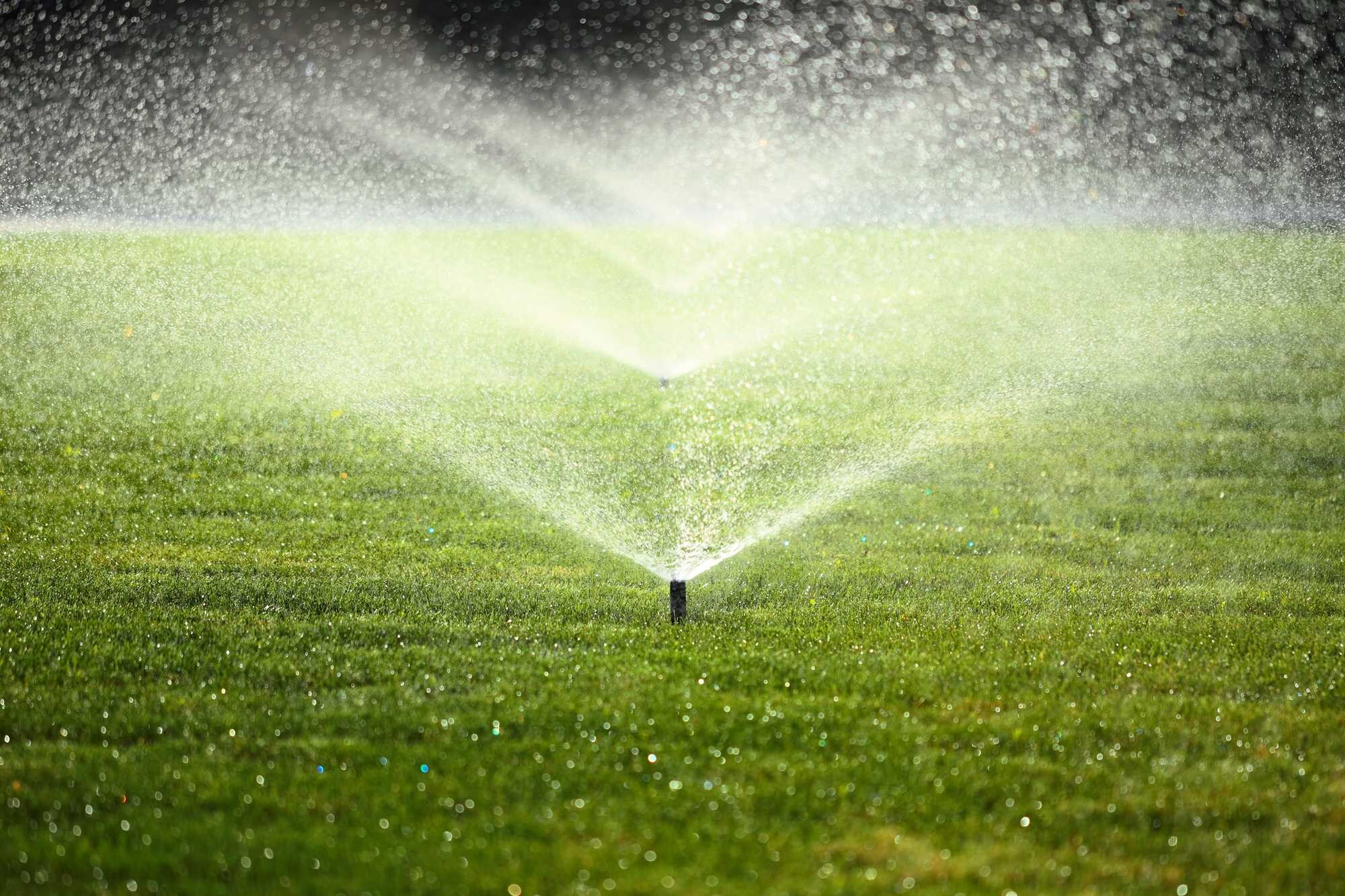 beeld vtwonen Shutterstock / Rashid Valitov