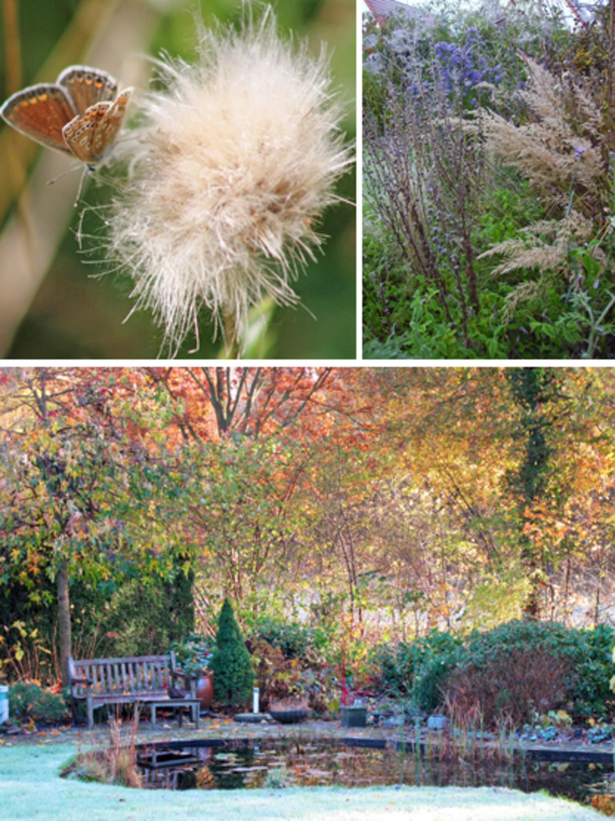 genieten van de herfsttuin
