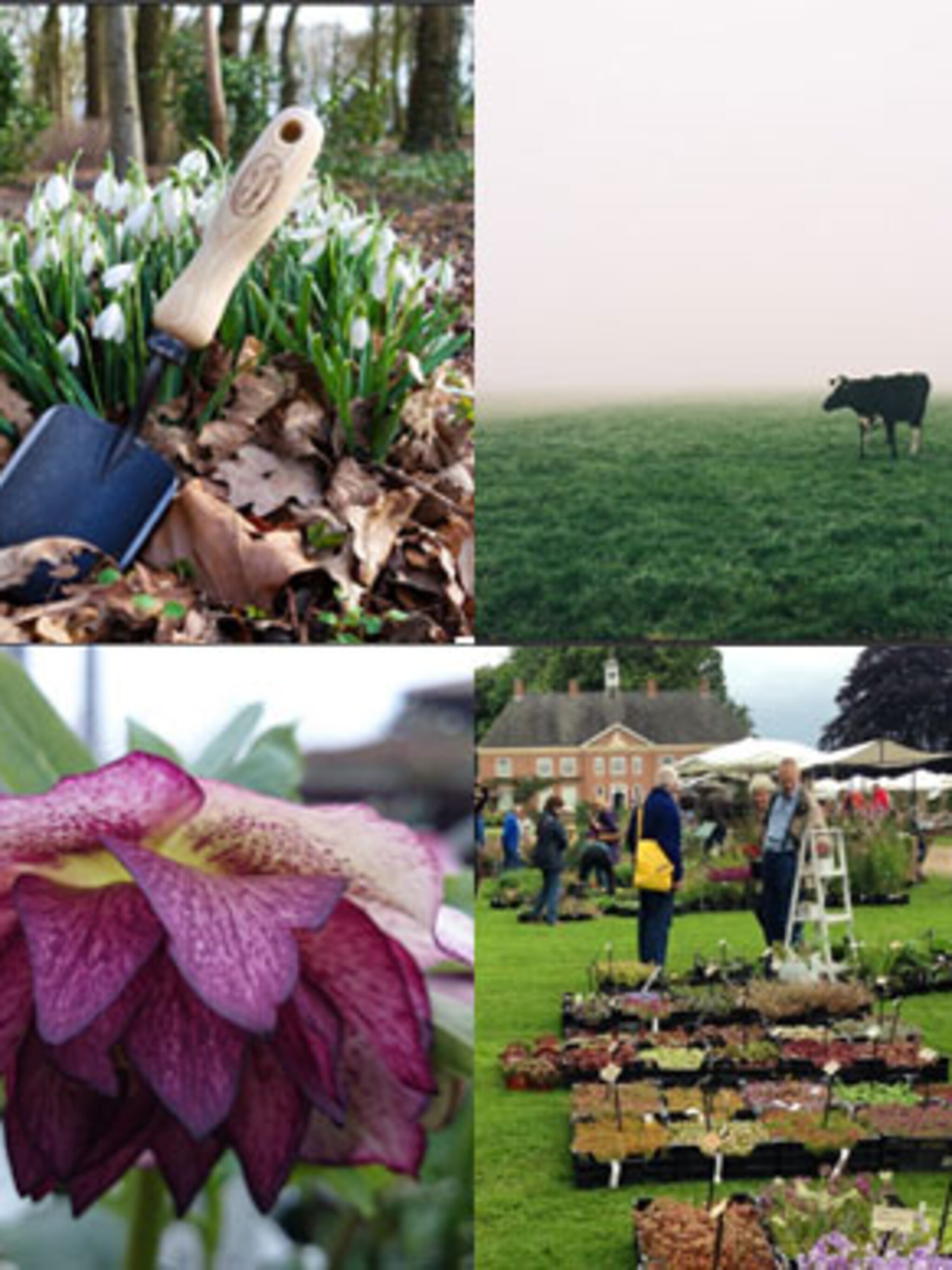 groene instagram accounts