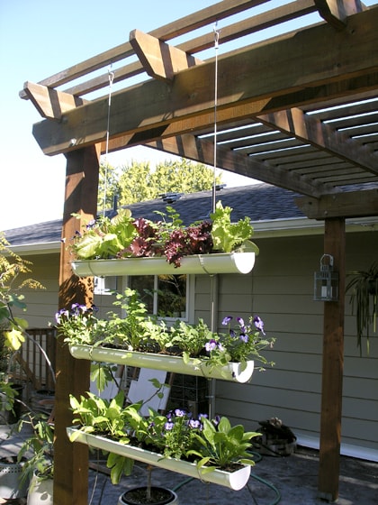 DIY hangende moestuin