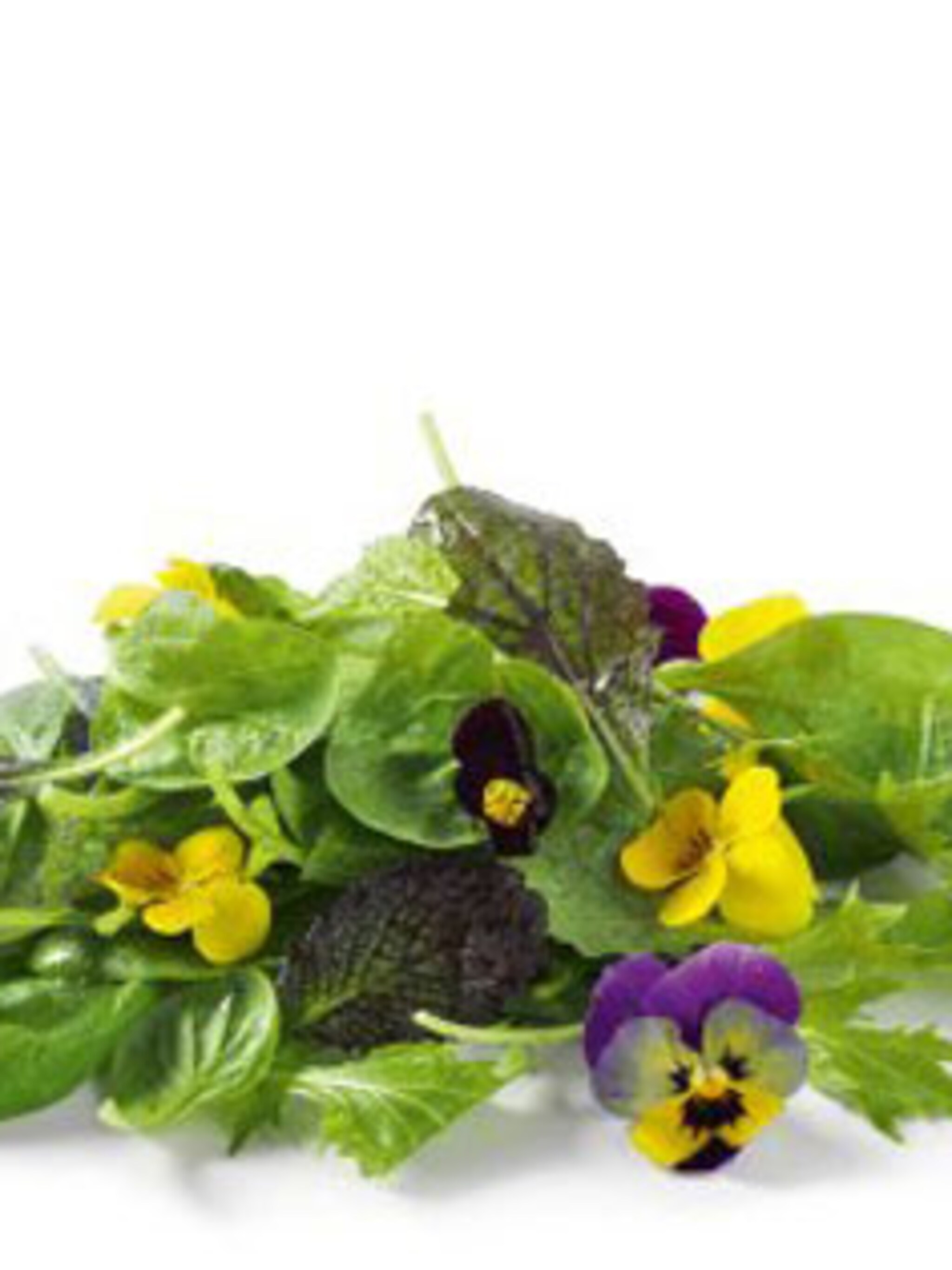 kerstsalade met viooltjes