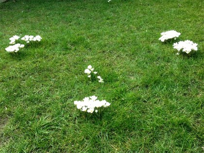 beeld vtwonen