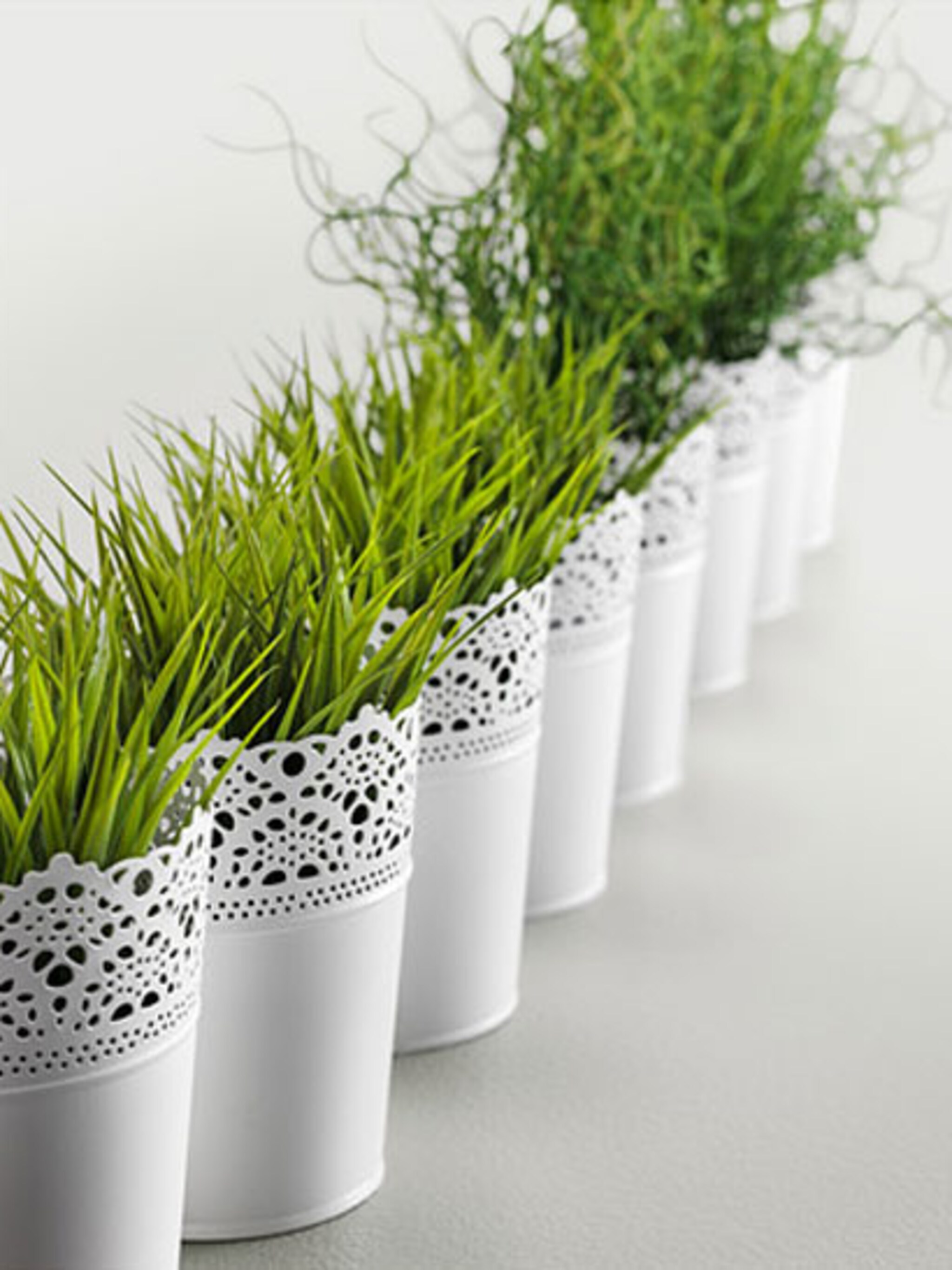 bloempot op tafel