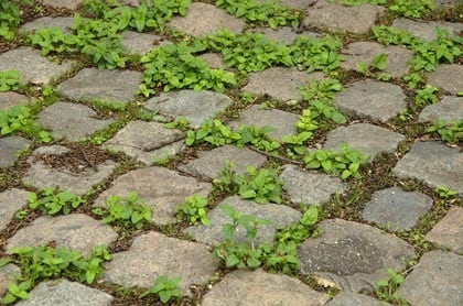 beeld vtwonen