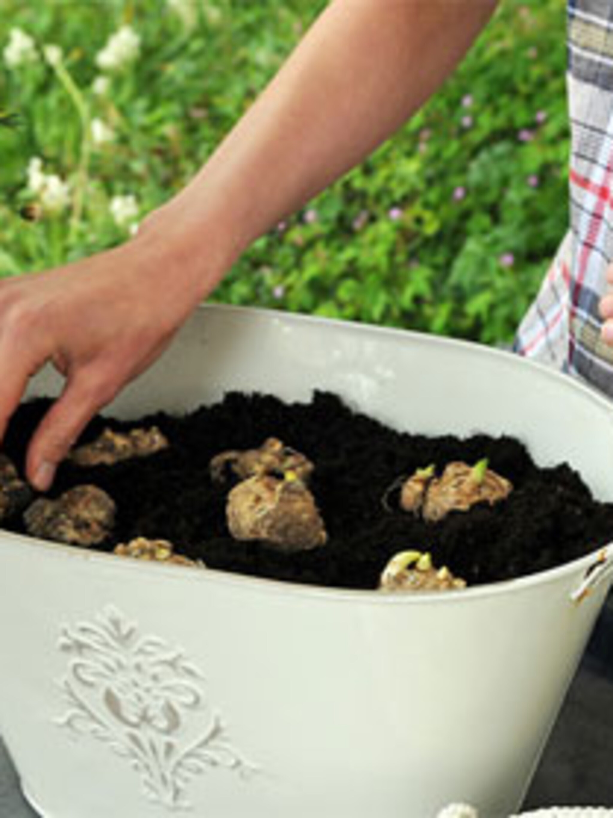 zomerbollen in 4 stappen