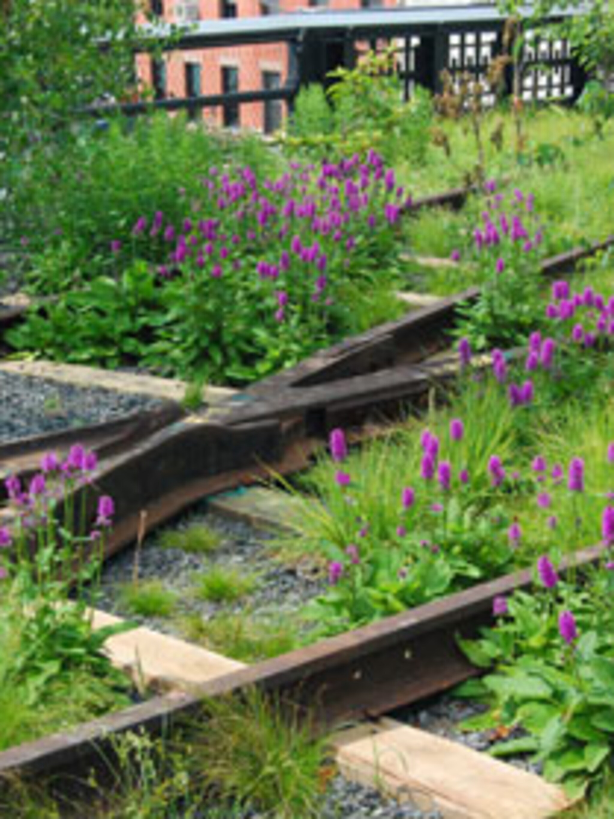 high line inspiratie