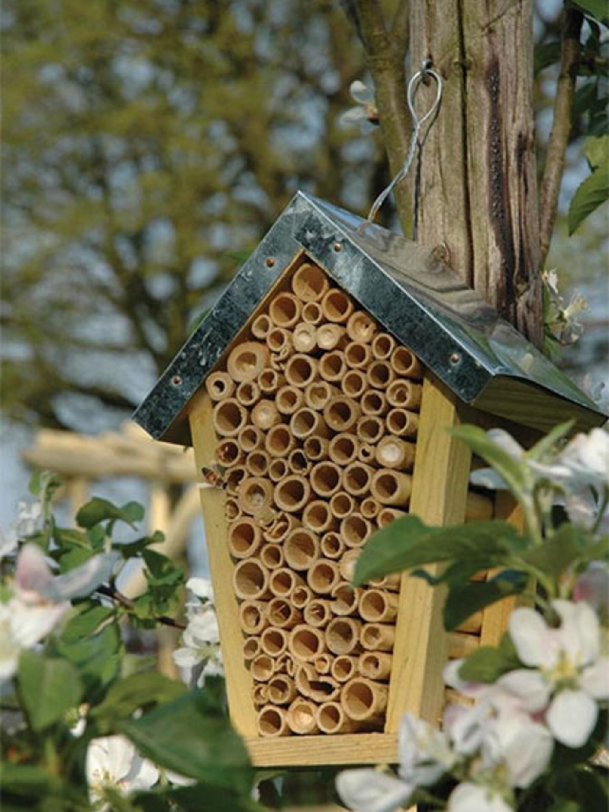 een huis voor bijen