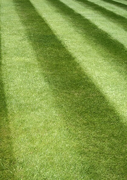 beeld vtwonen