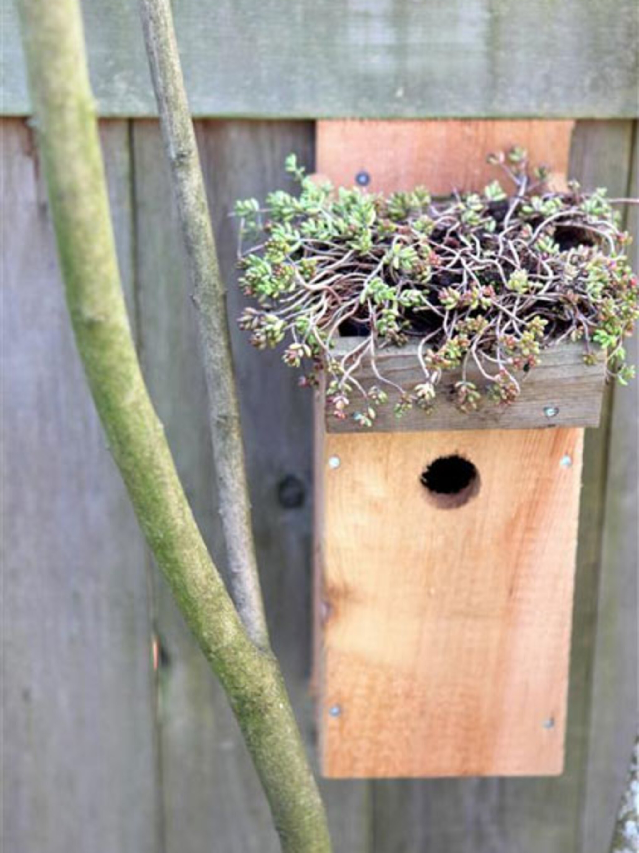 vogelhuis met groen dak