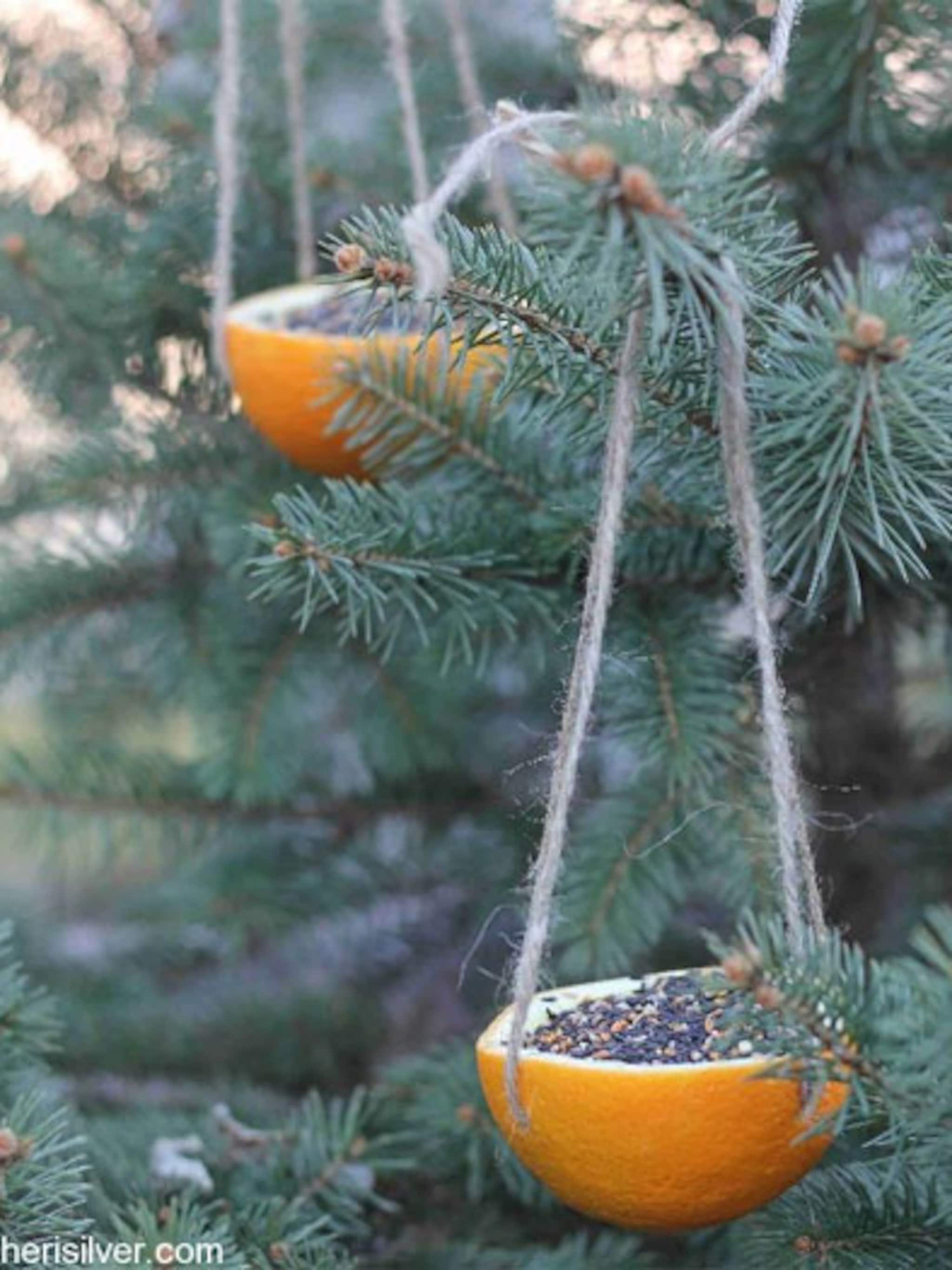 kerstversiering voor vogels