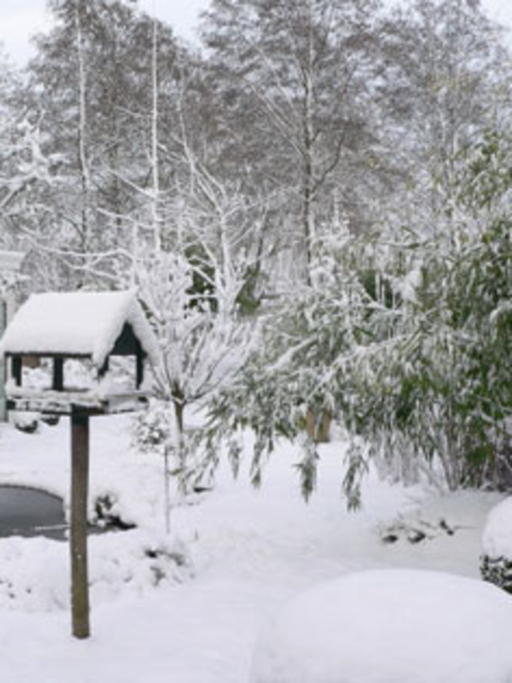 tuinonderhoud in de winter