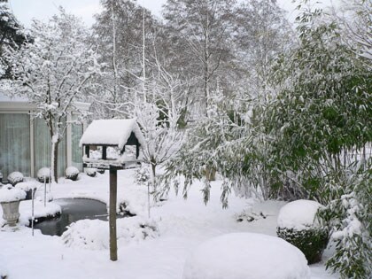 beeld vtwonen
