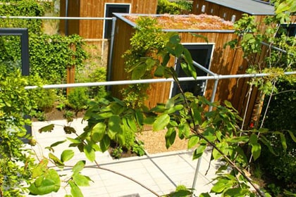 pergola steigerbuizen