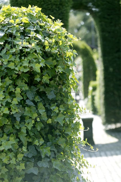 beeld vtwonen