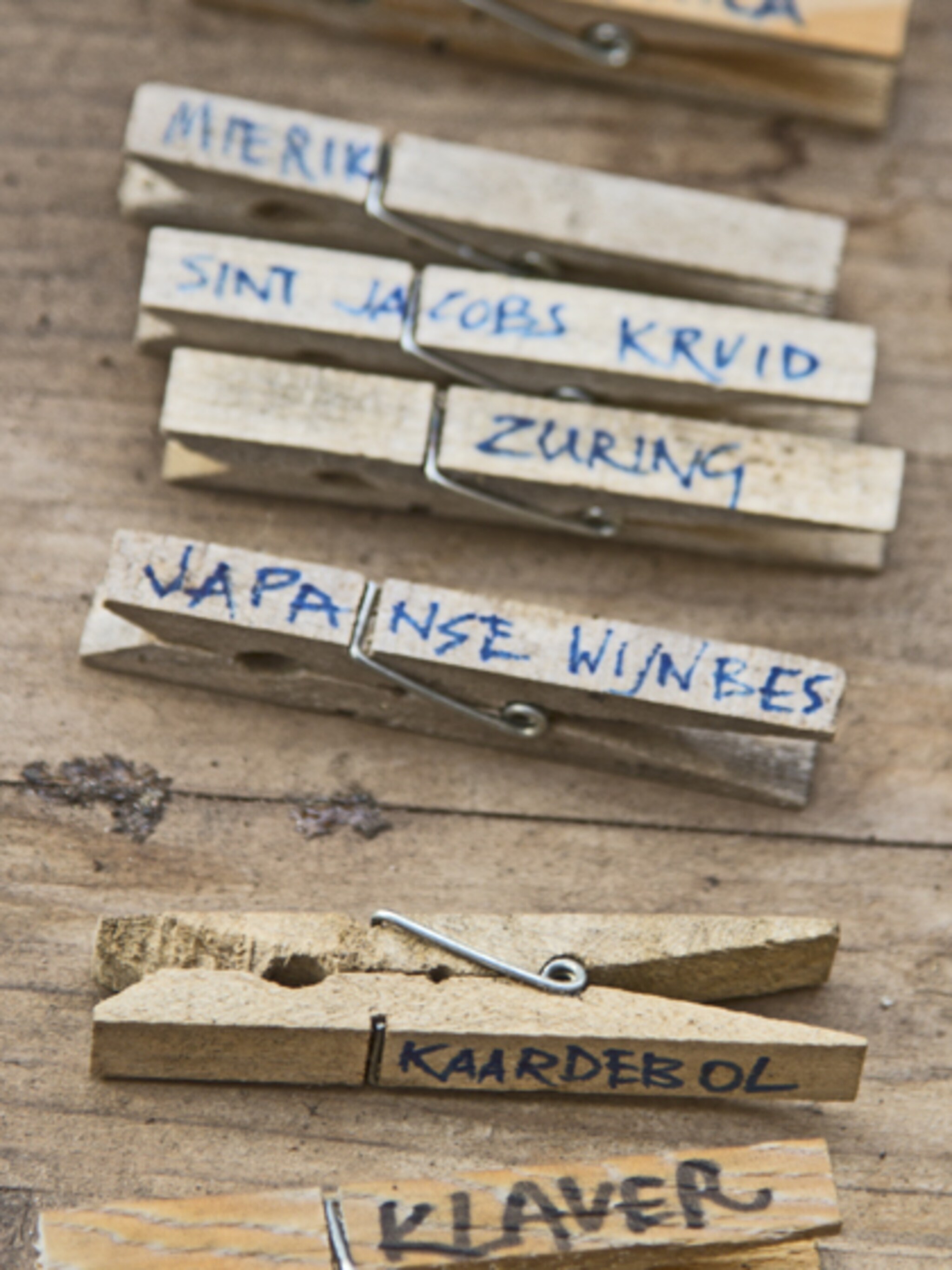 plantenstekers maken