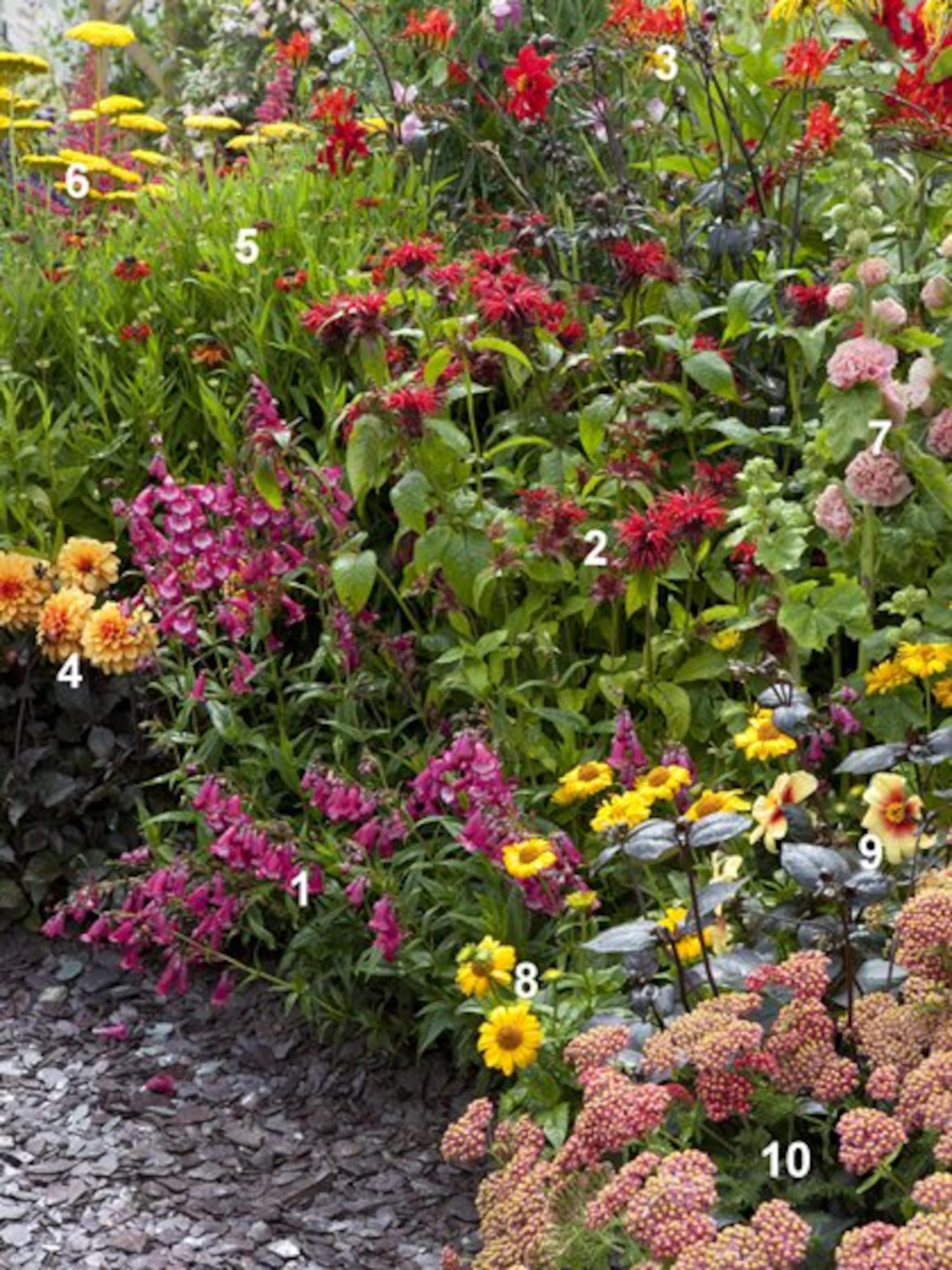 bonte border in warme kleuren