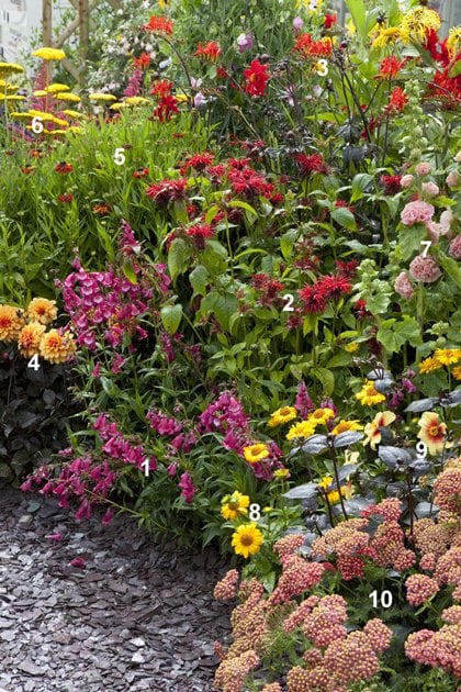 Bonte border