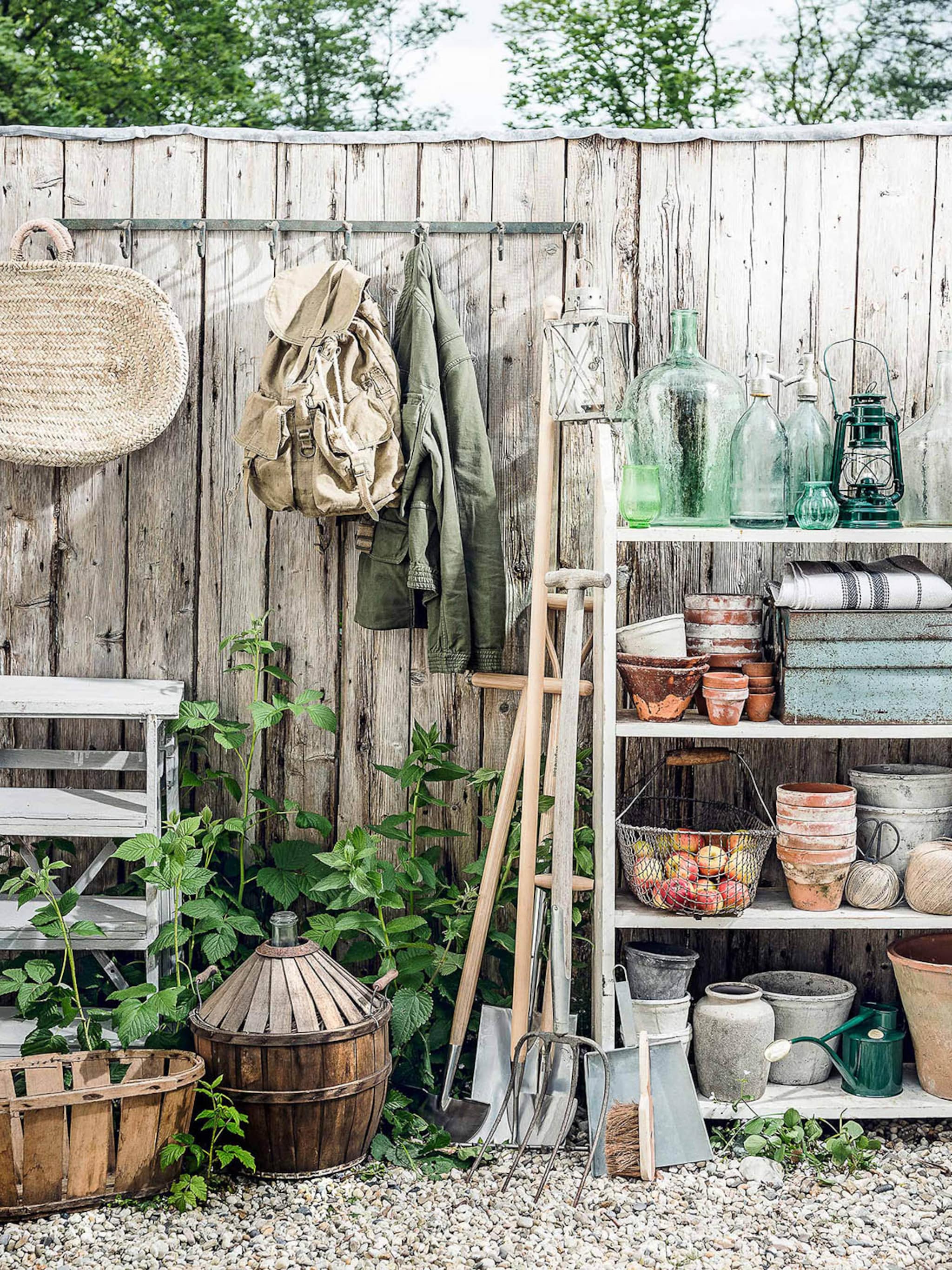 tuinkalender augustus zomer onderhoud tuin