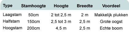 Appelboom kopen