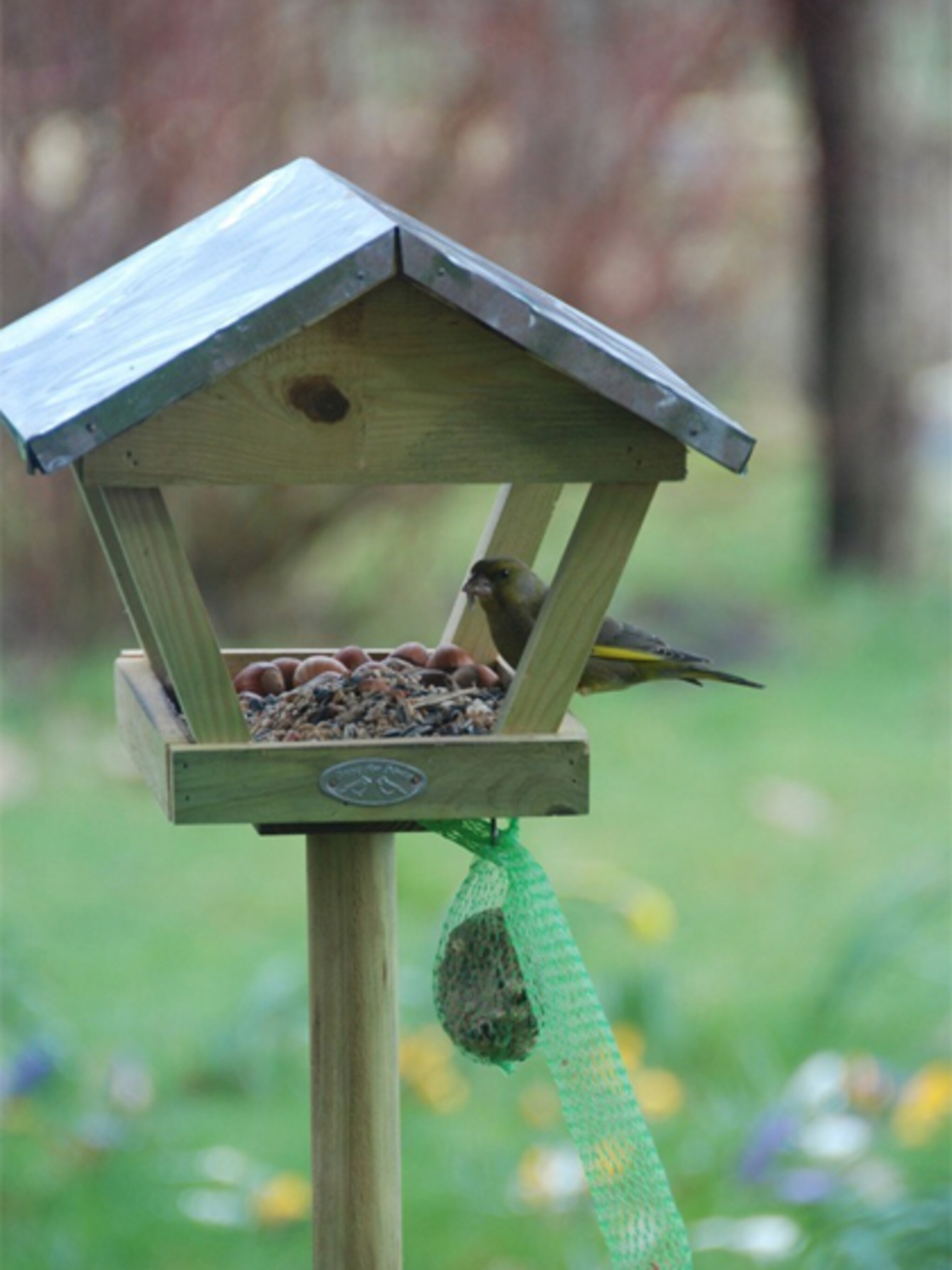 voedertafel voor vogels