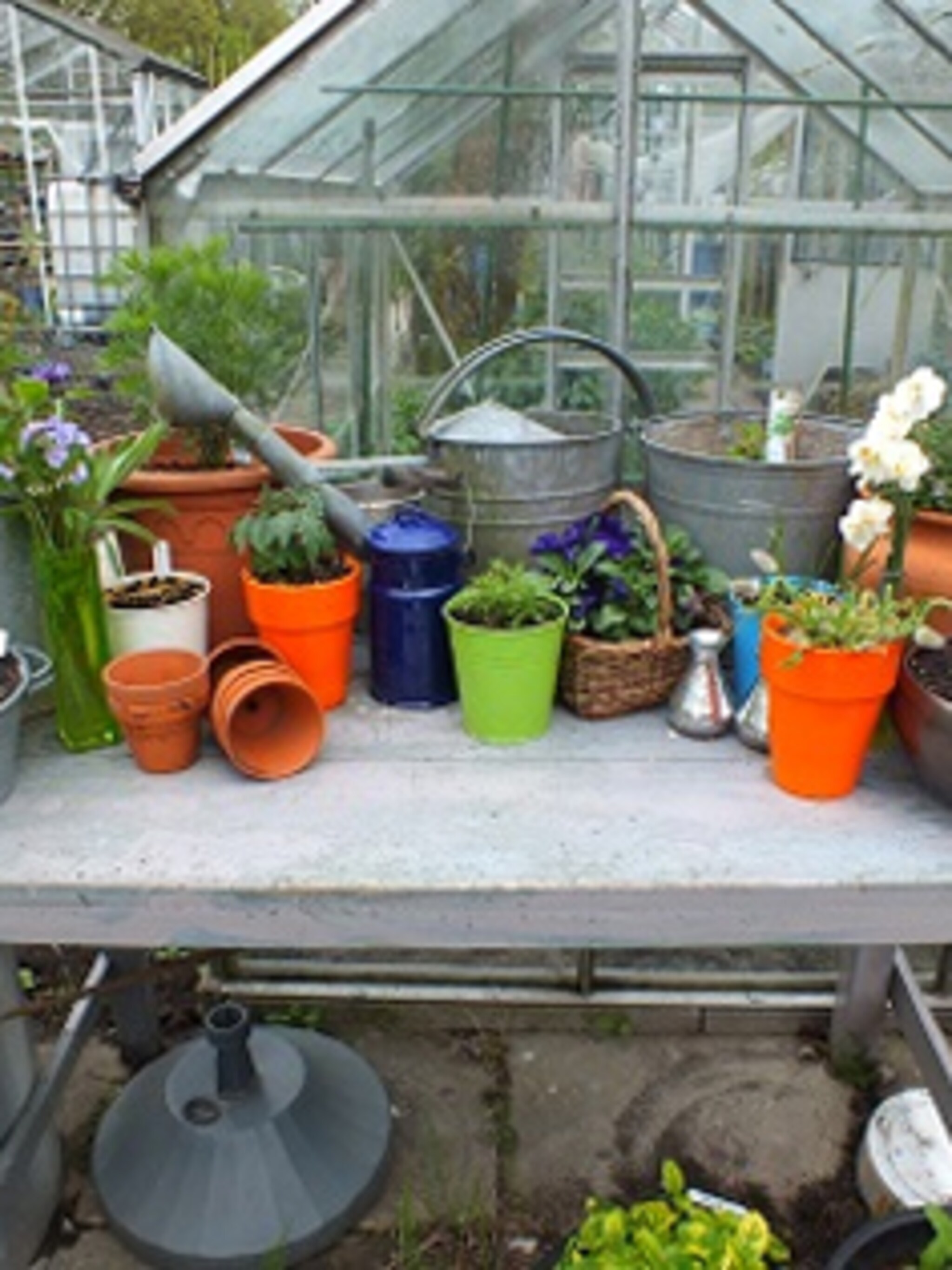 tuinblog mooie moestuin