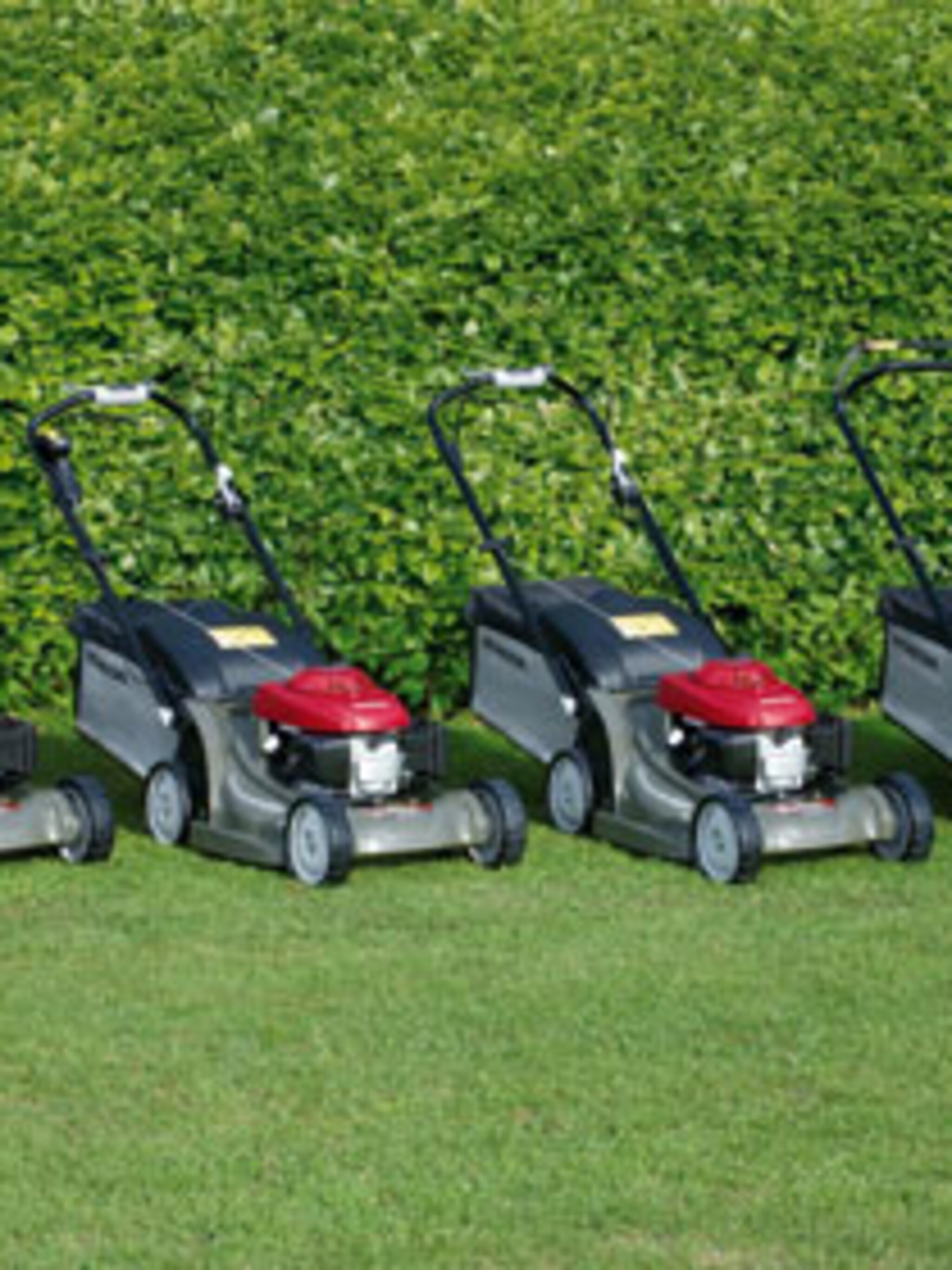 grasmaaiers