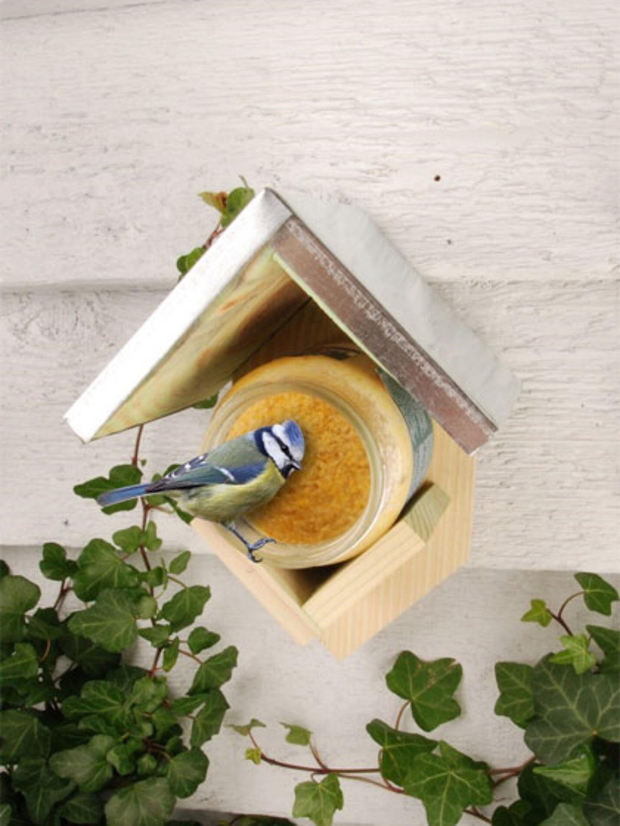 pindakaas voor vogels