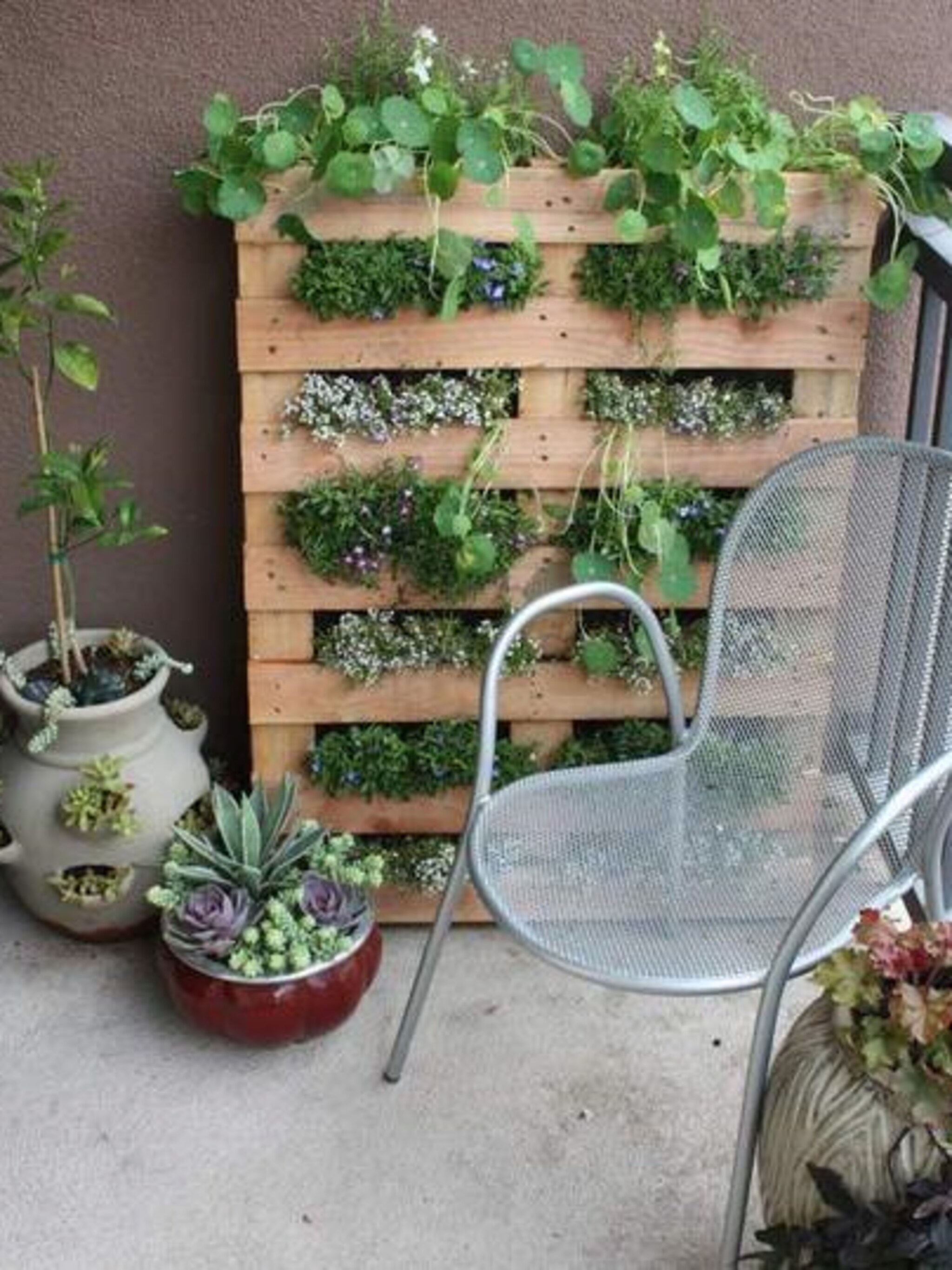 maak een pallet tuin
